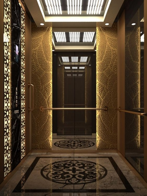 Luxury Glass & Steel Lift